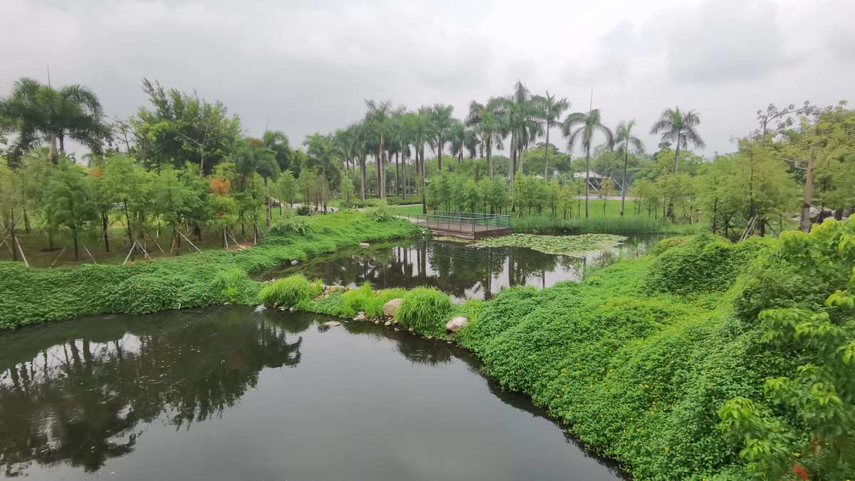 廈門(mén)會(huì)展中心家裝博覽會(huì)門(mén)票_廈門(mén)裝飾畫(huà)展會(huì)_廈門(mén)裝修展會(huì)