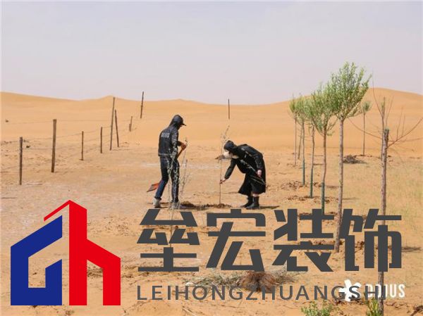 DOJUS 度假式家私:重構家居消費場景,定義“日常,就度假”的美學革命